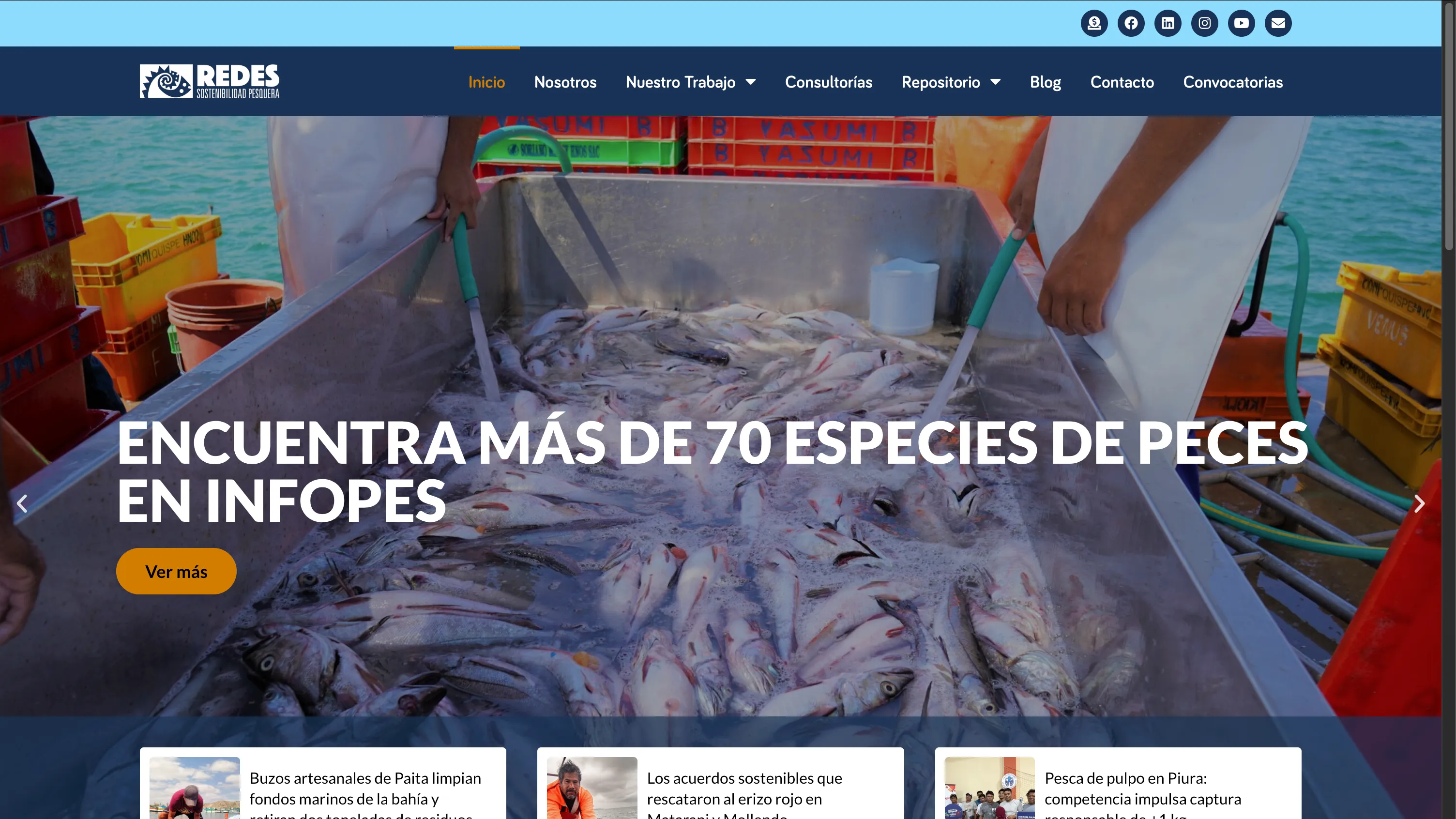 Redes